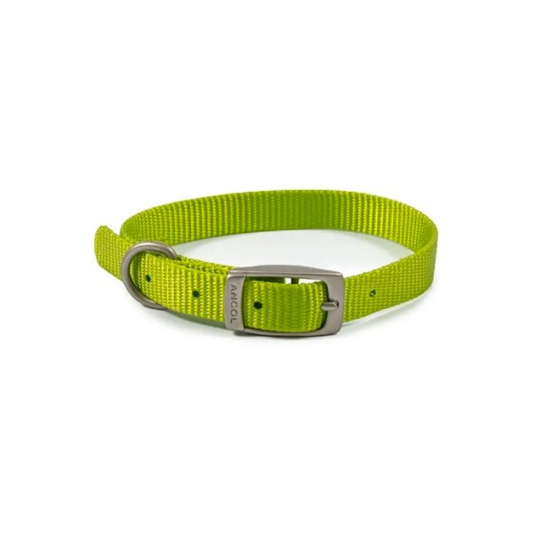 Ancol Viva Buckle Collar Lime