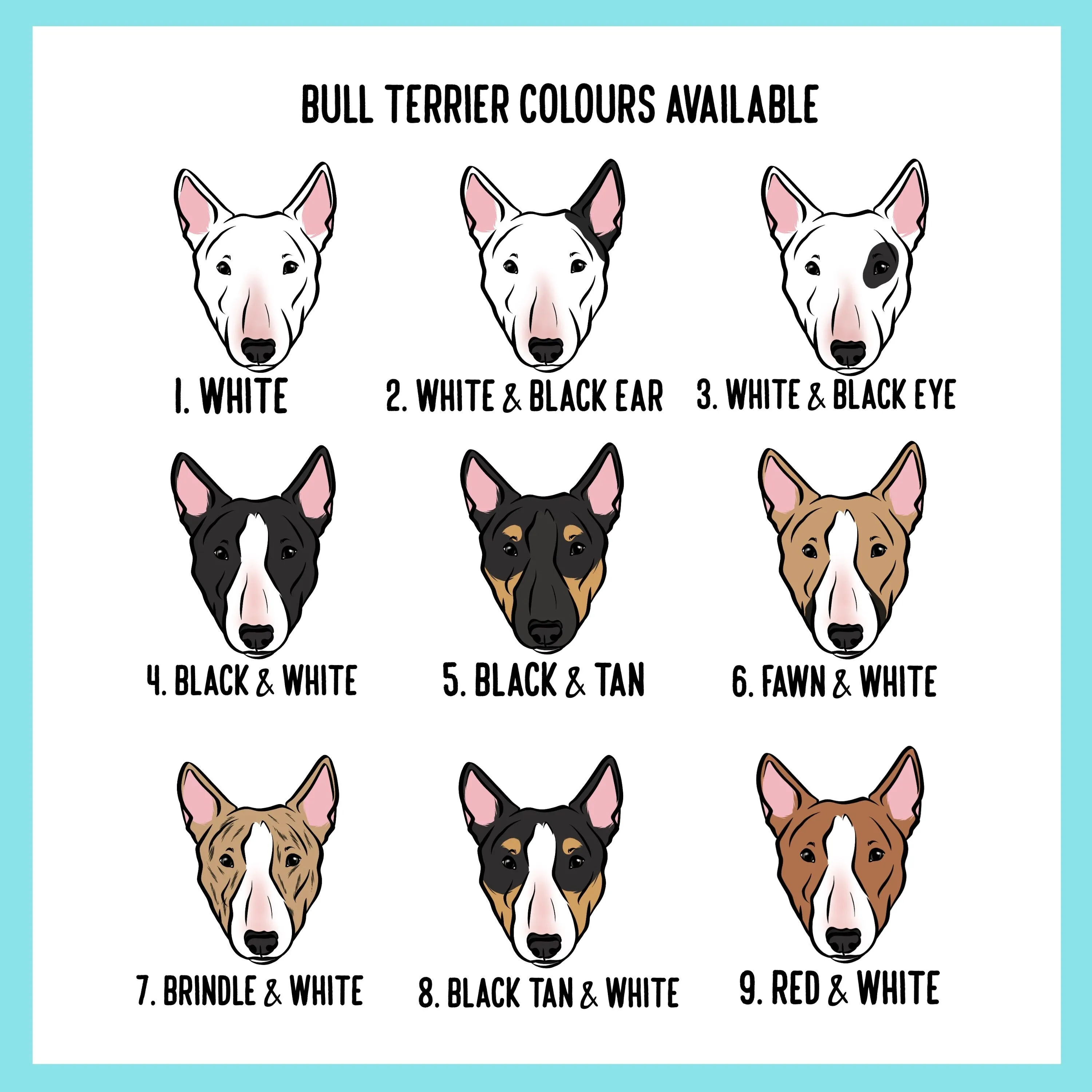 Bull Terrier Collar
