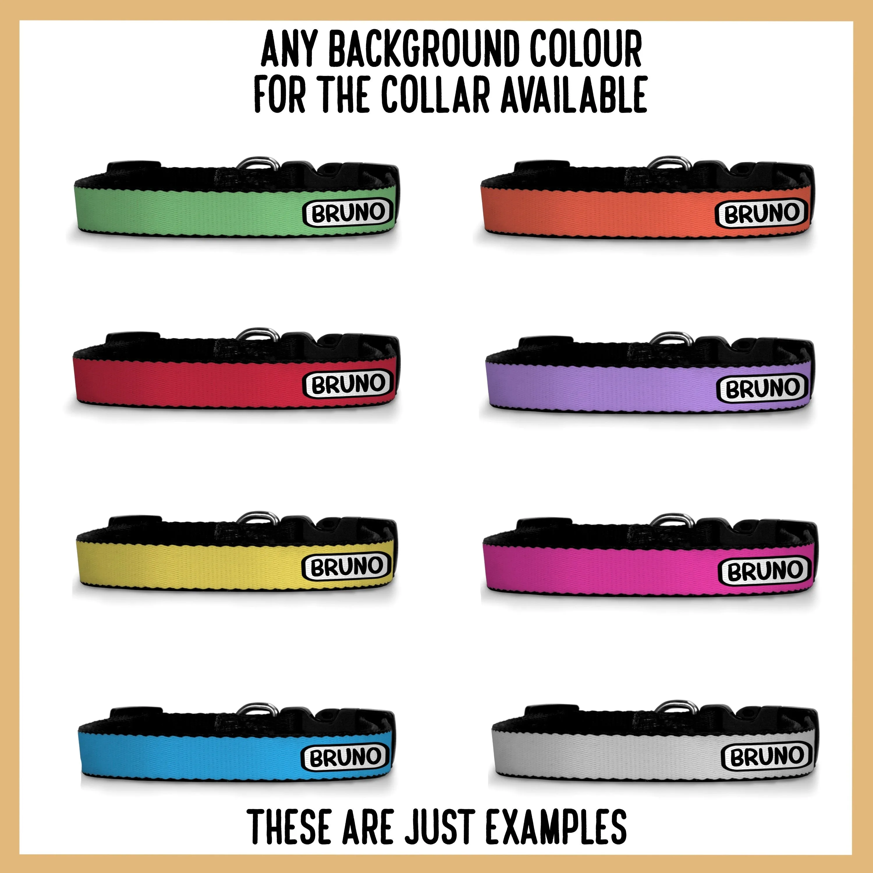 Bull Terrier Collar