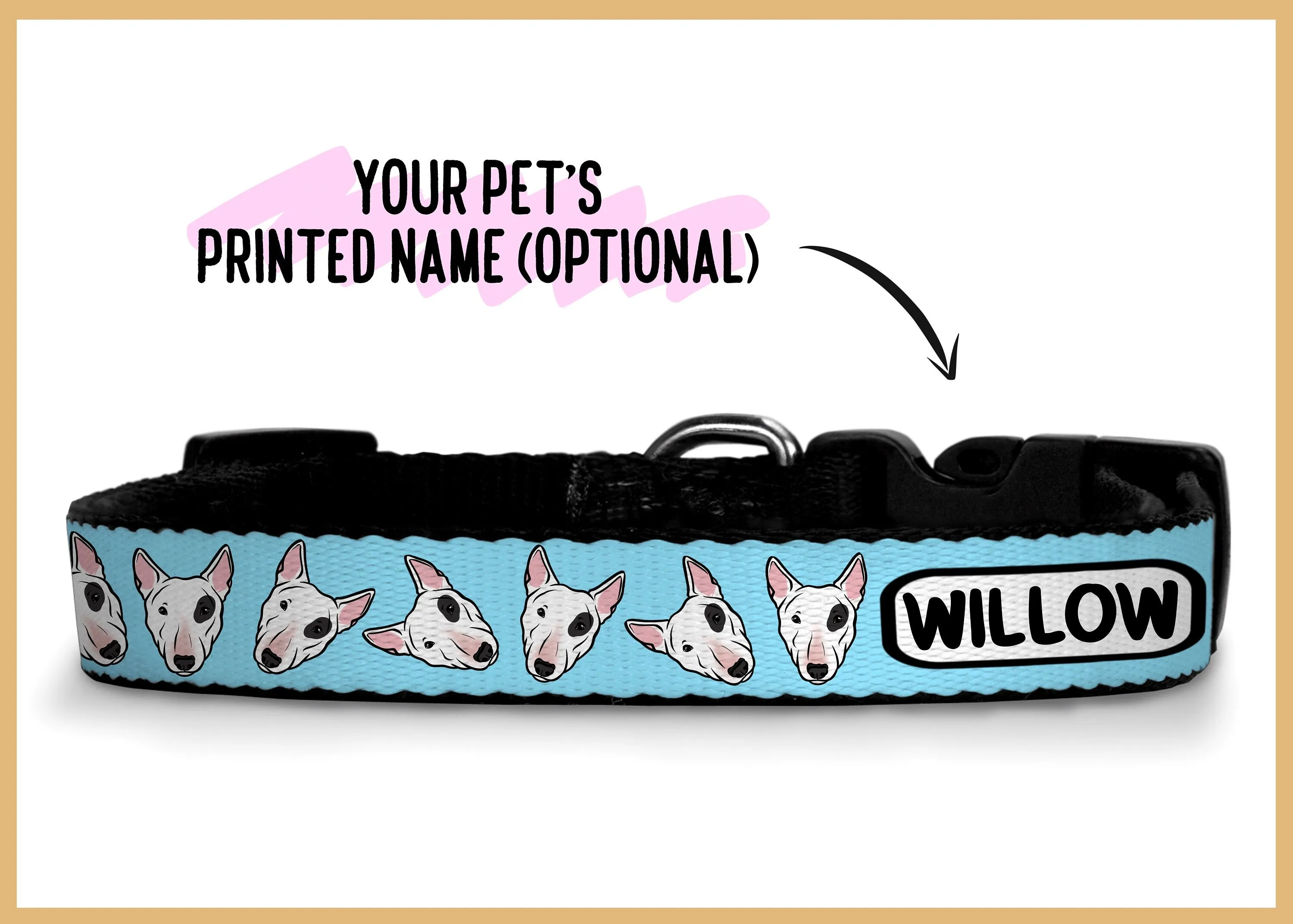 Bull Terrier Collar