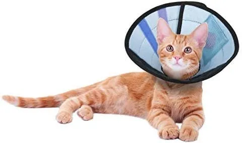 Calm Paws Caring Dog Collar with Calming Disk for Cats - Extra Small