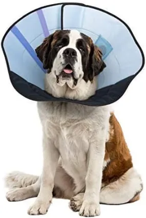 Calm Paws Caring Dog Collar with Calming Disk for Dogs - Extra Large
