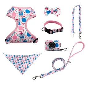 Chenpet Wholesale Pet Collar Sets Customized Pet Leashes