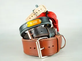 Colorful Leather Dog Collar with Soft Padding