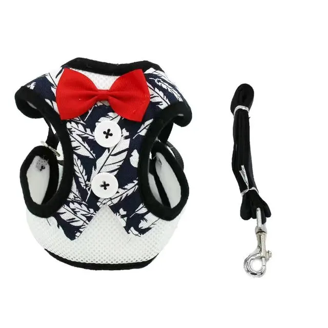 Elegant Bow Dog Collars