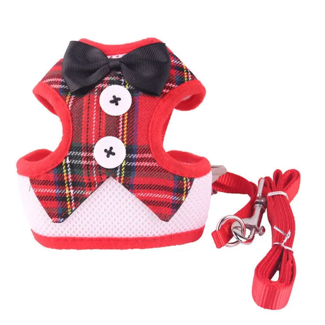 Elegant Bow Dog Collars