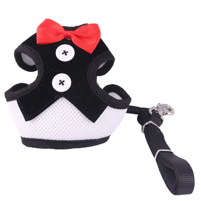 Elegant Bow Dog Collars
