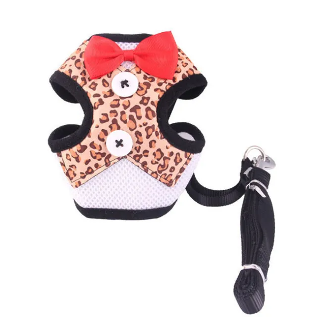 Elegant Bow Dog Collars