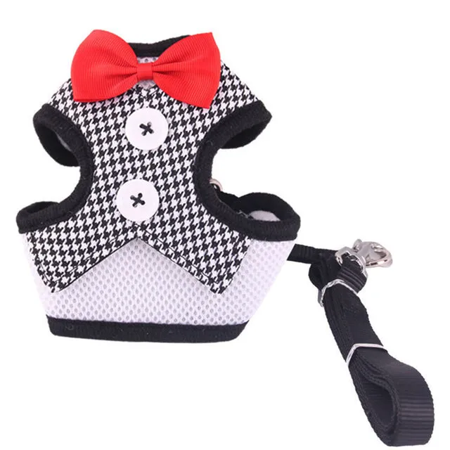 Elegant Bow Dog Collars