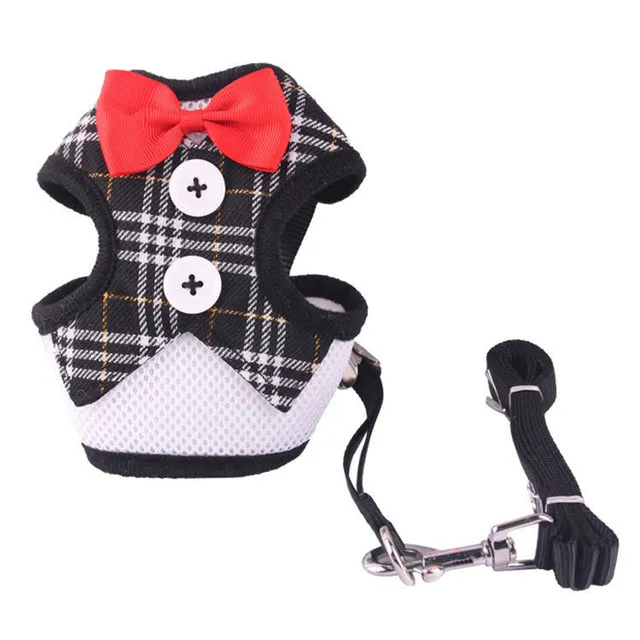 Elegant Bow Dog Collars