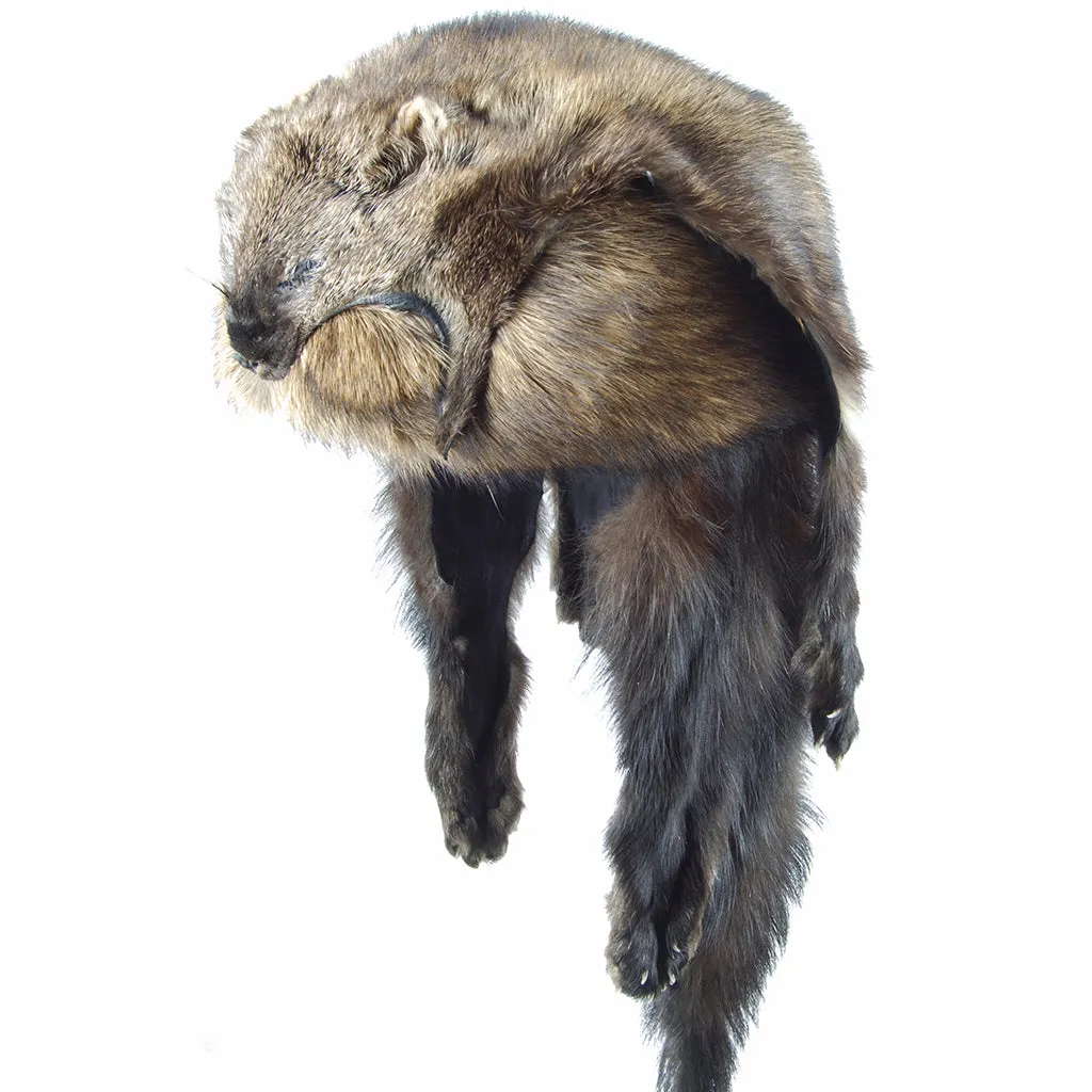 Fisher Fur Mountain Man Hat