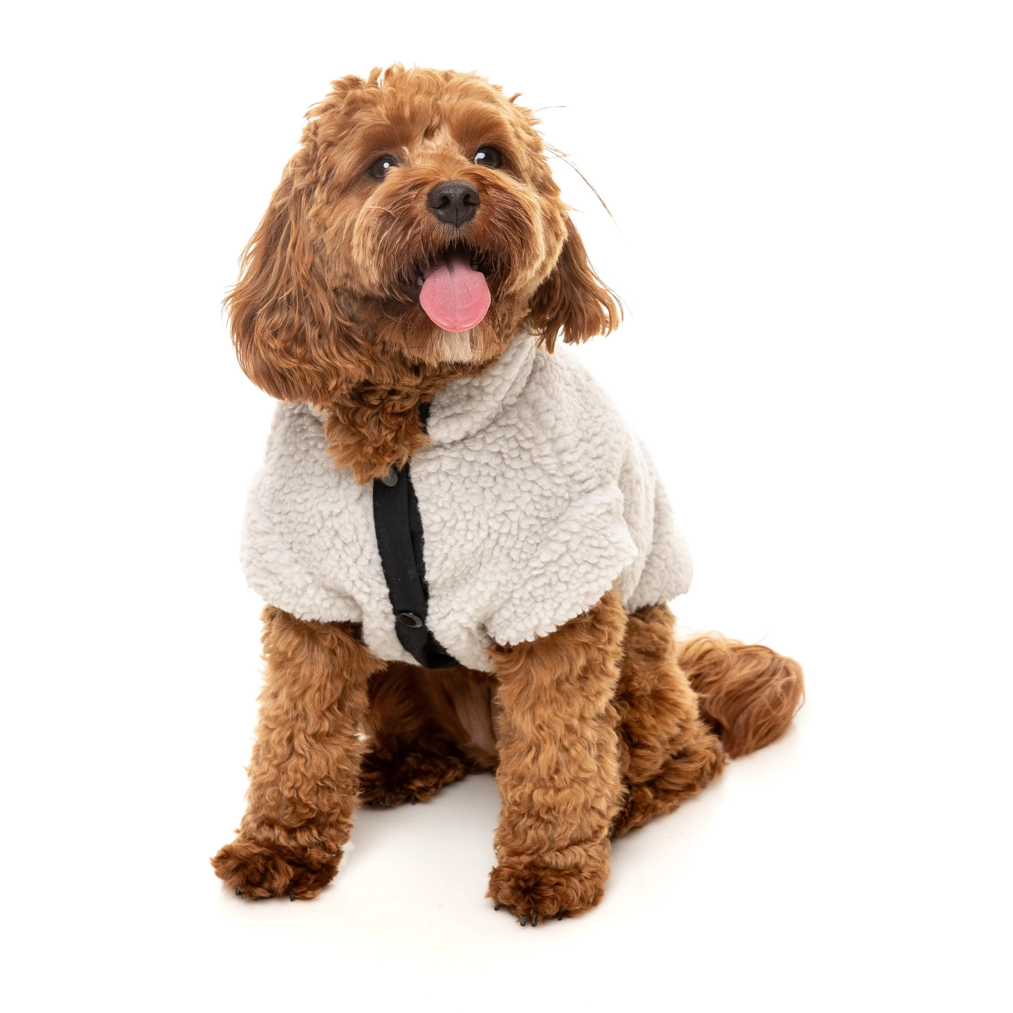 FuzzYard Dog Apparel Jacket Basecamp Stone Size 4