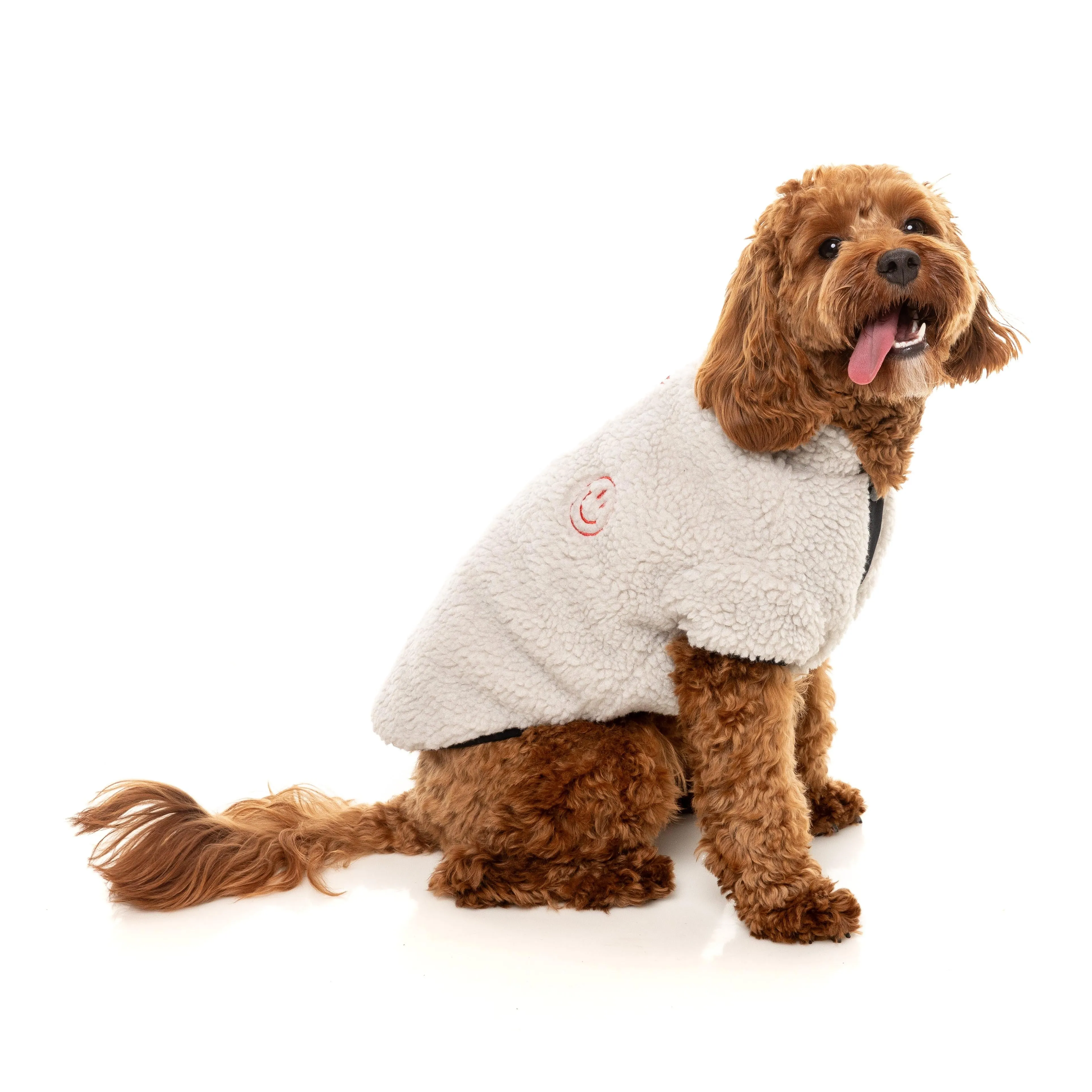 FuzzYard Dog Apparel Jacket Basecamp Stone Size 4
