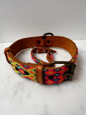 Huichol Embroidered Wide Dog Collar L3