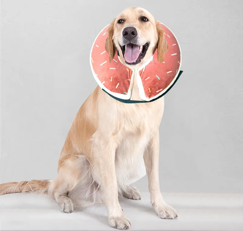 Inflatable Pet Recovery Donut Collar