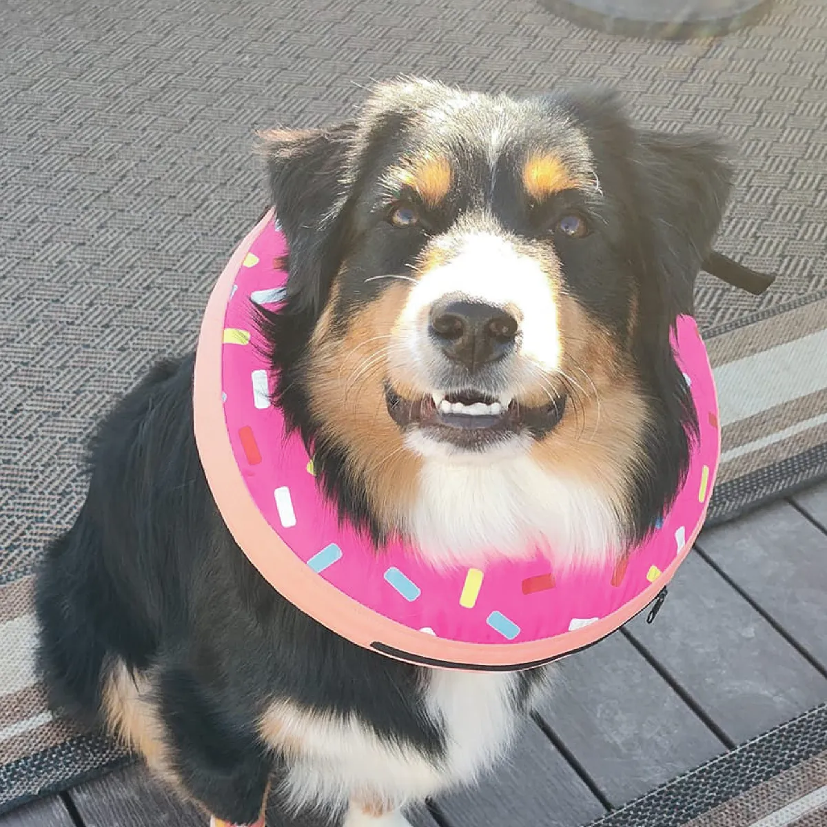 Inflatable Pet Recovery Donut Collar