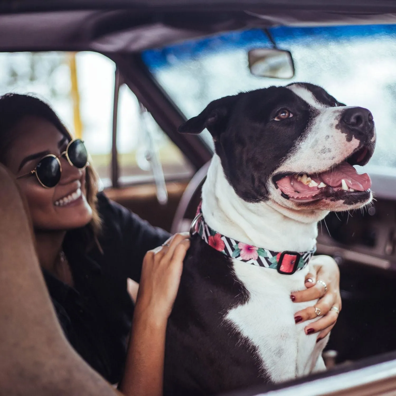 Mahalo Dog Collar