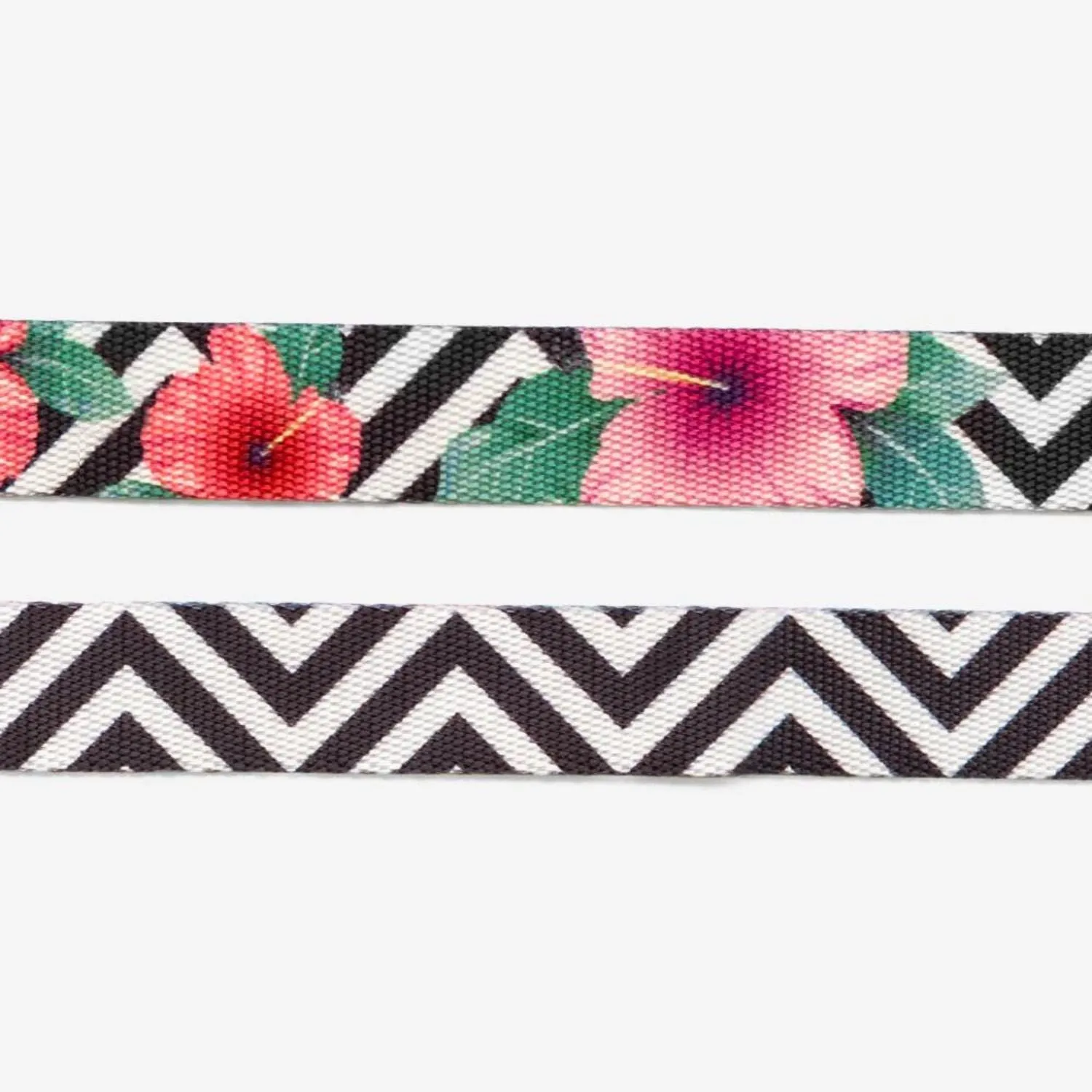 Mahalo Dog Collar