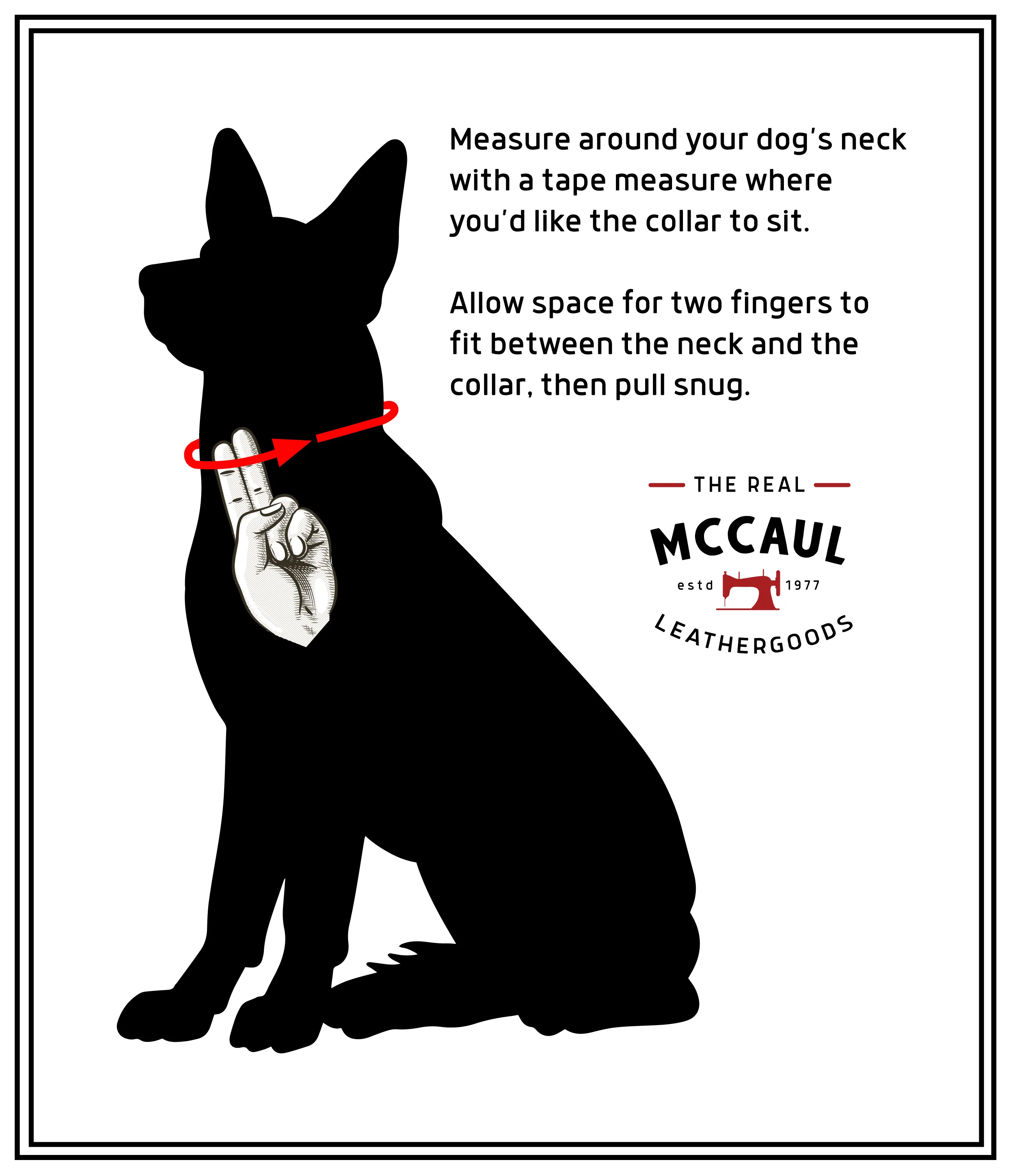 Personalised Dog Collar 38mm Wide - Dark Brown
