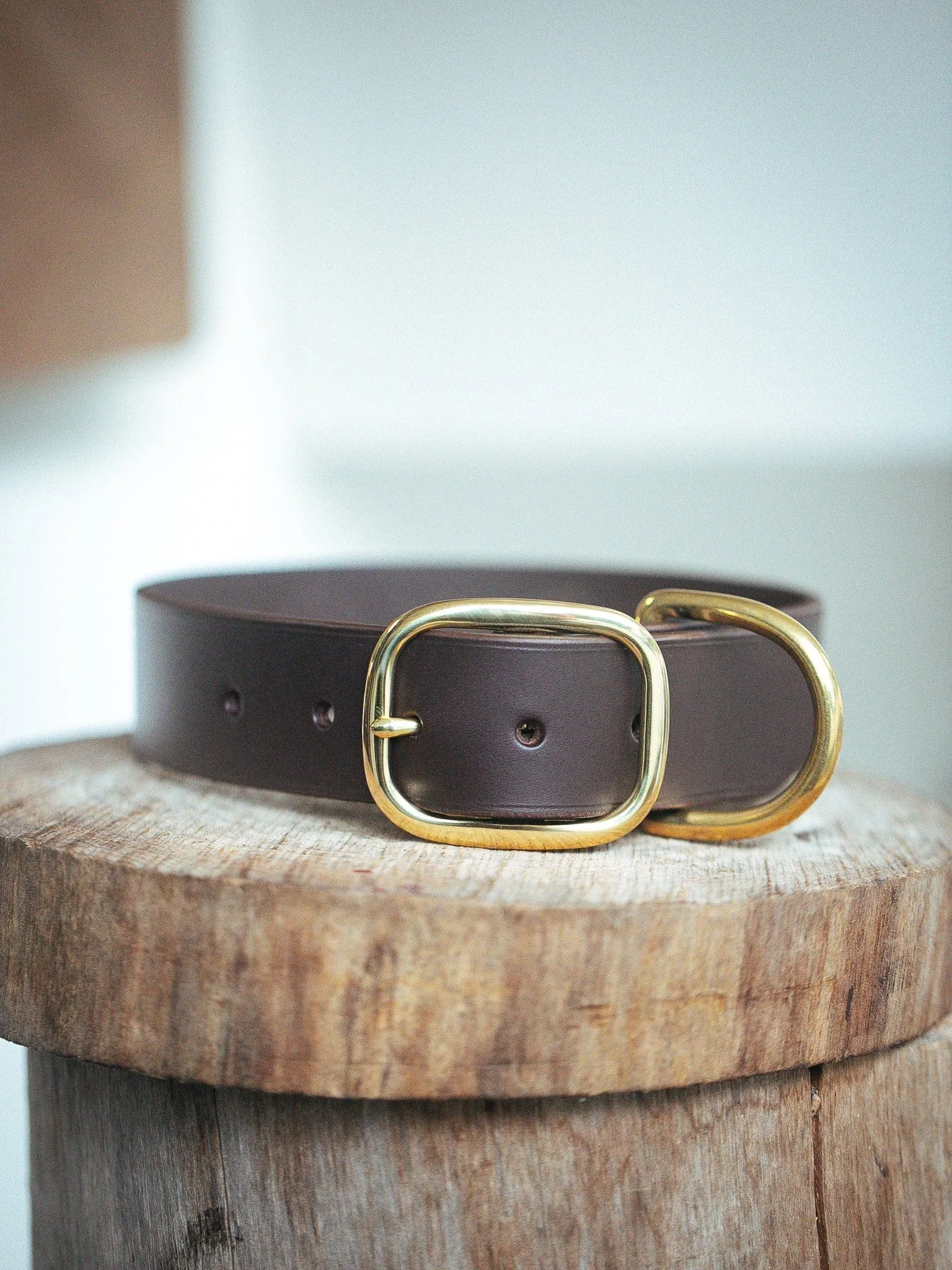 Personalised Dog Collar 38mm Wide - Dark Brown