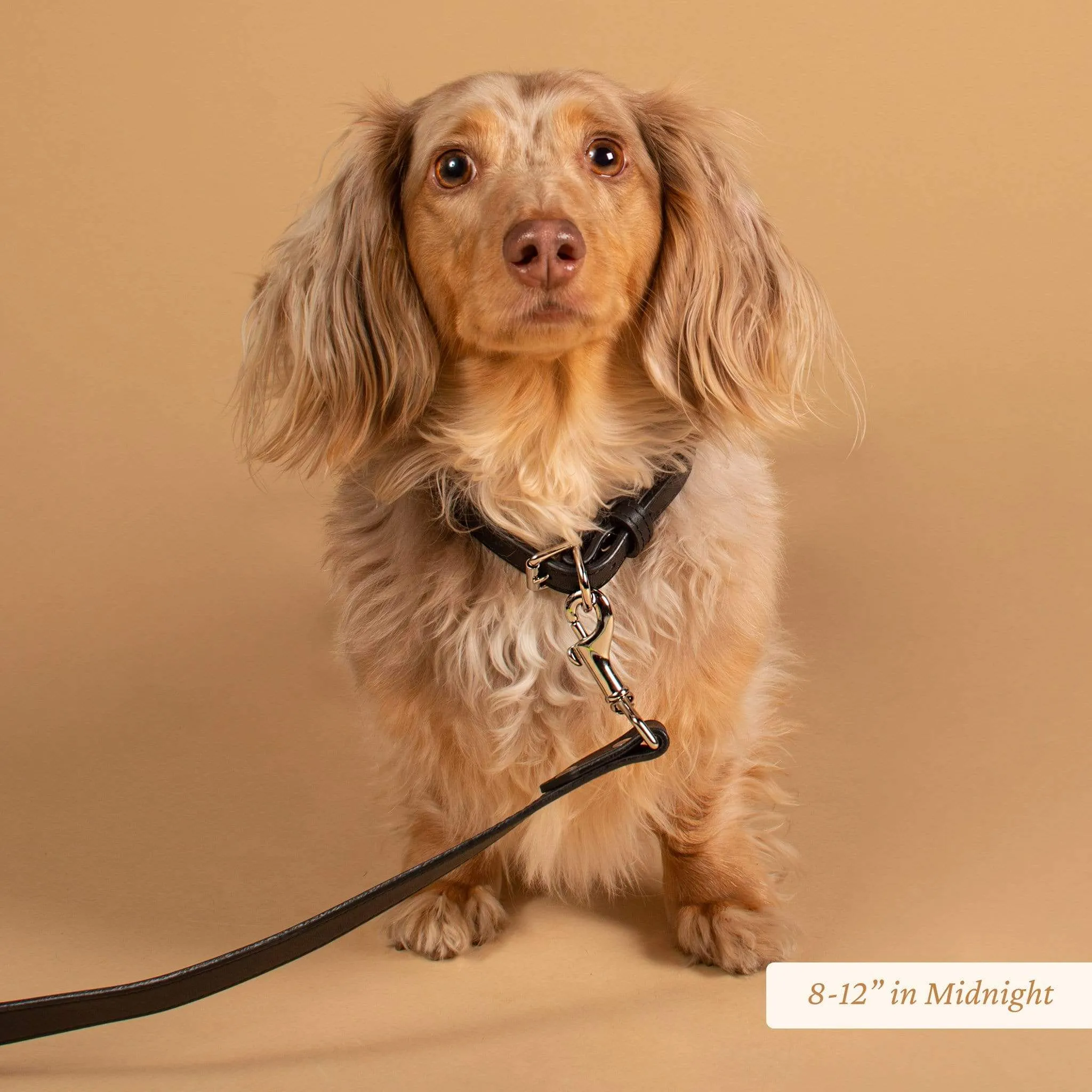 Signature Leather Dog Collar