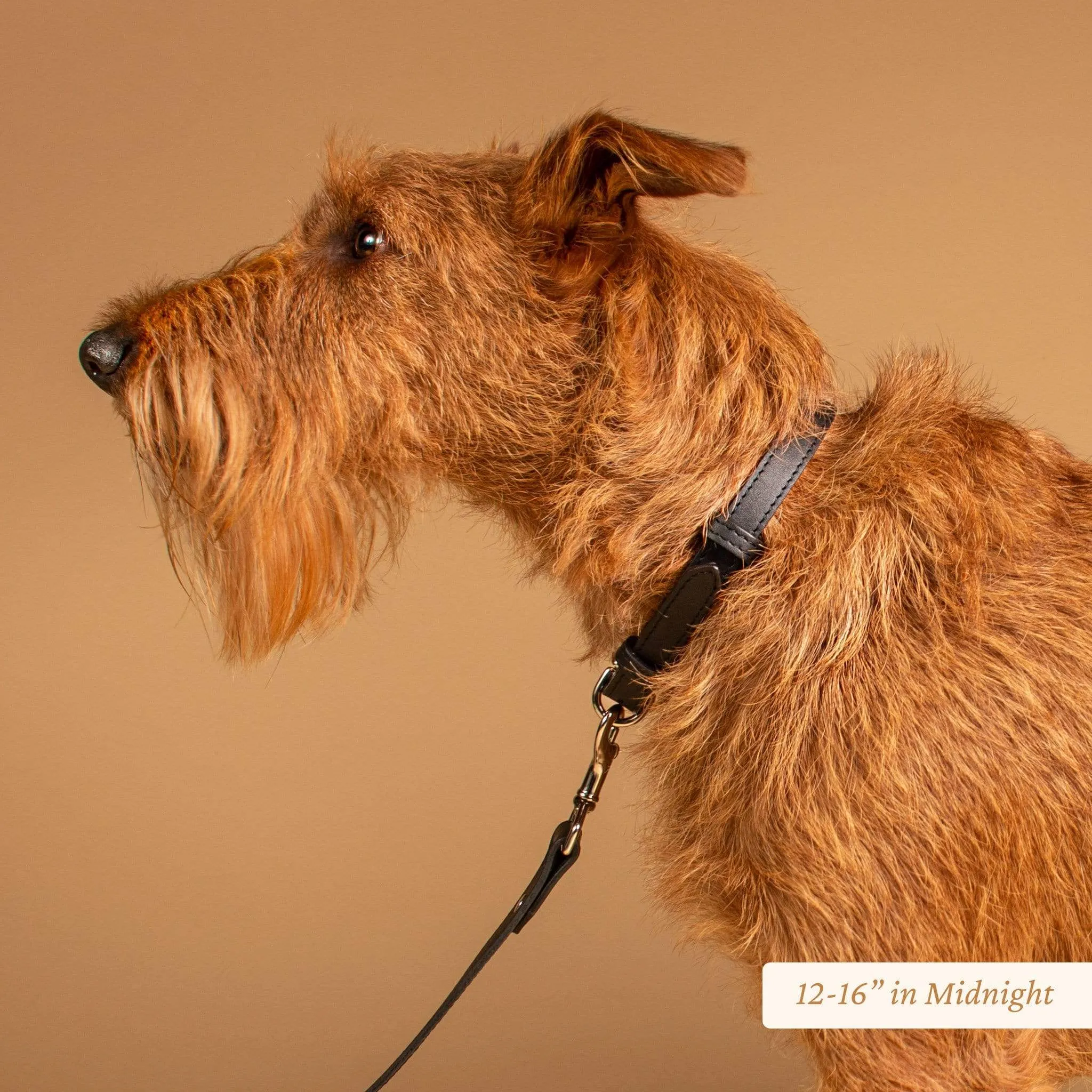 Signature Leather Dog Collar