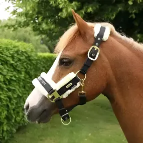 Supreme Products Royal Occasion Head Collar