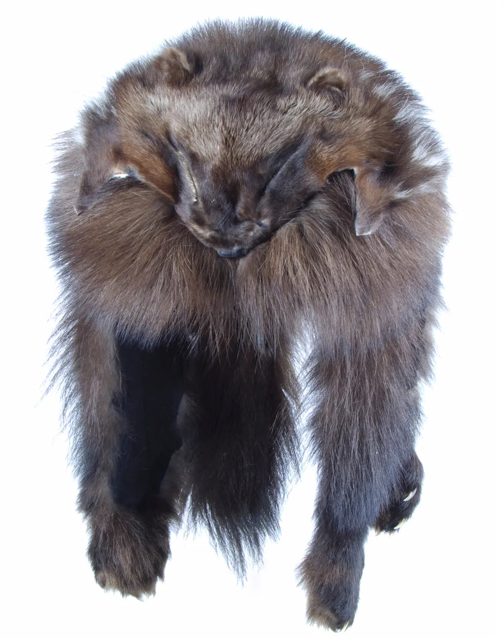 Wolverine Mountain Man Hat