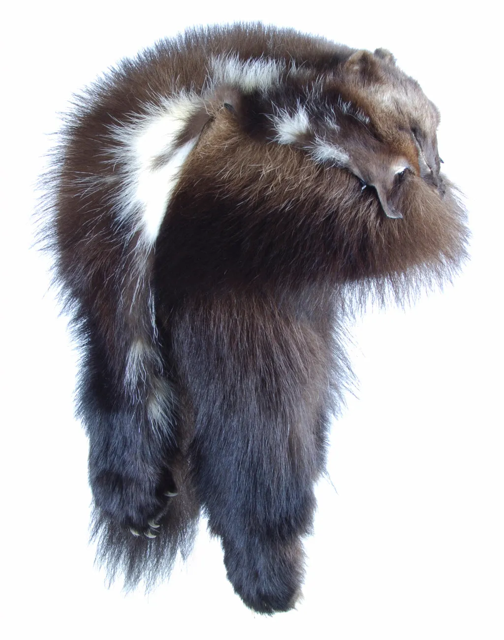 Wolverine Mountain Man Hat